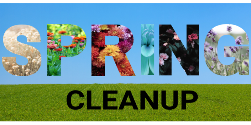 Spring Cleanup