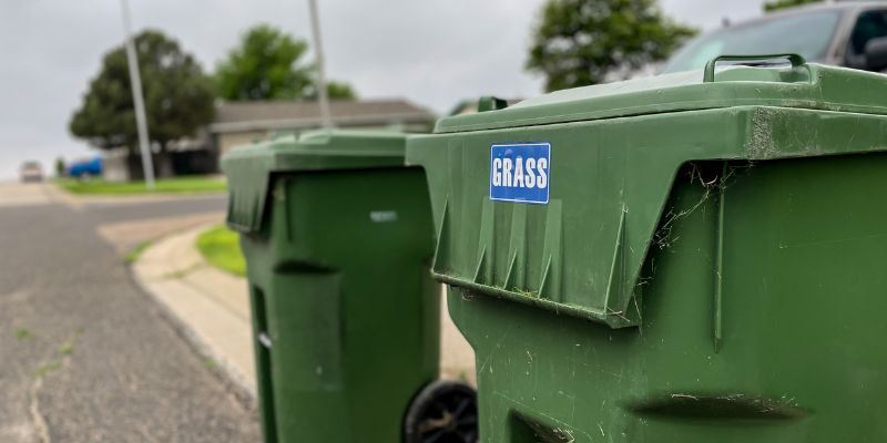 Spotlight - Grass TC