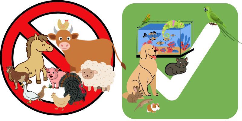 JPG Website - Spotlight Template